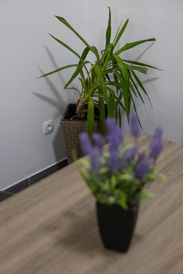 Apartman Toni สปลิท ภายนอก รูปภาพ